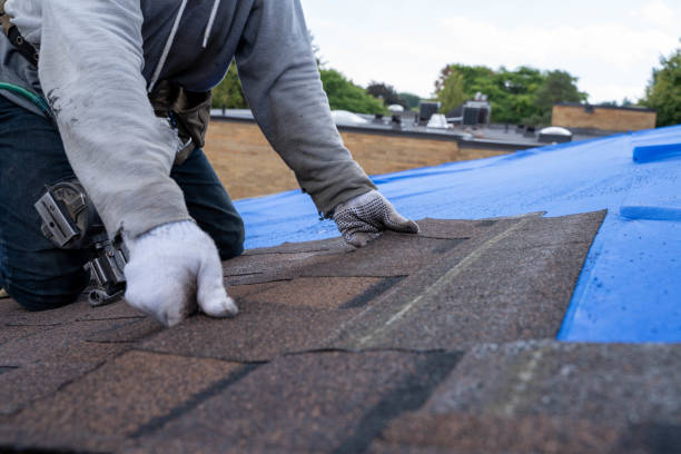 Best Storm Damage Roof Repair  in Karns, TN